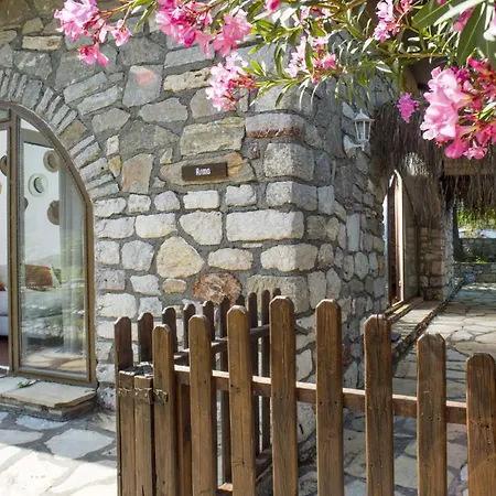 Asma, Florya * 马尔马里斯