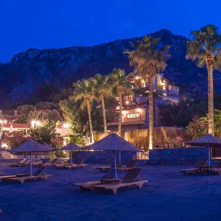 Asma, Florya * Marmaris